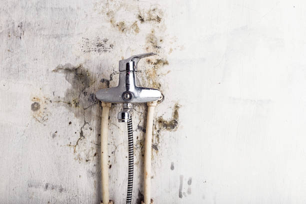 Best Mold Remediation for Schools in Park Hills, MO