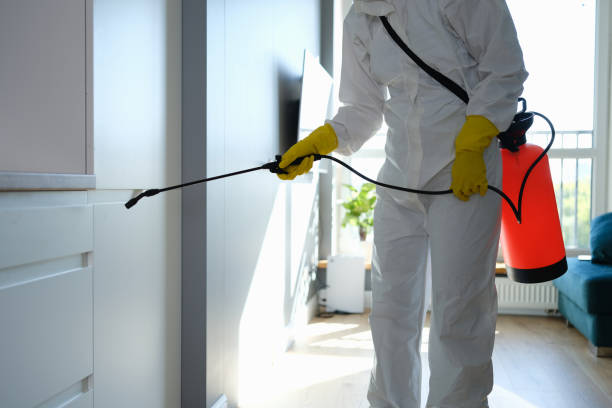 Best Crawl Space Mold Remediation in Park Hills, MO