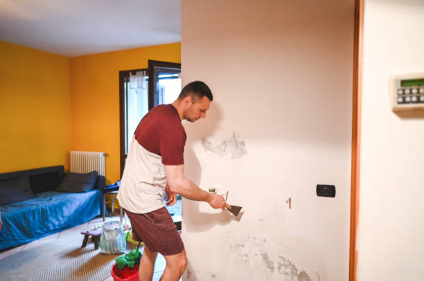 Best Post-Flood Mold Remediation in Park Hills, MO